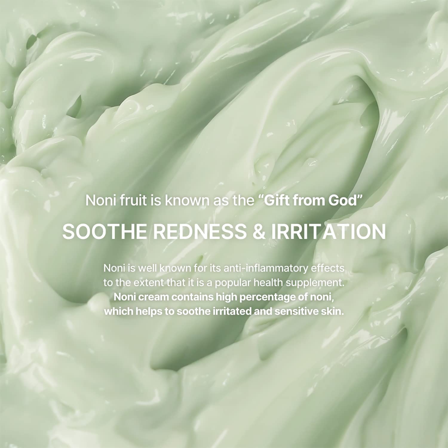 celimax The Real Noni Energy Repair Cream | with Ceramide, Moisturizing, Soothing, Hydrating, Anti Aging, Brightening, For Wrinkle & Fine Line, For Sensitive Dry Oily Skin, 50ml